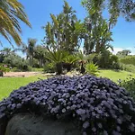 La Pena Hotel