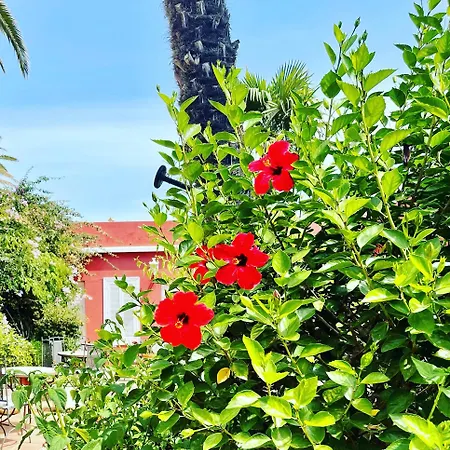 La Pena Hotel *